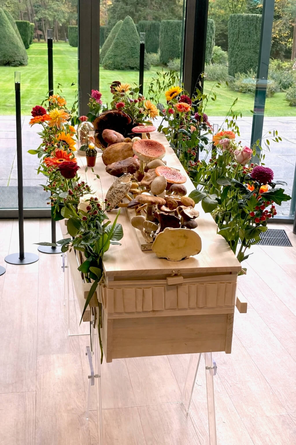 Houten plank met paddenstoelen op een uitvaartkist