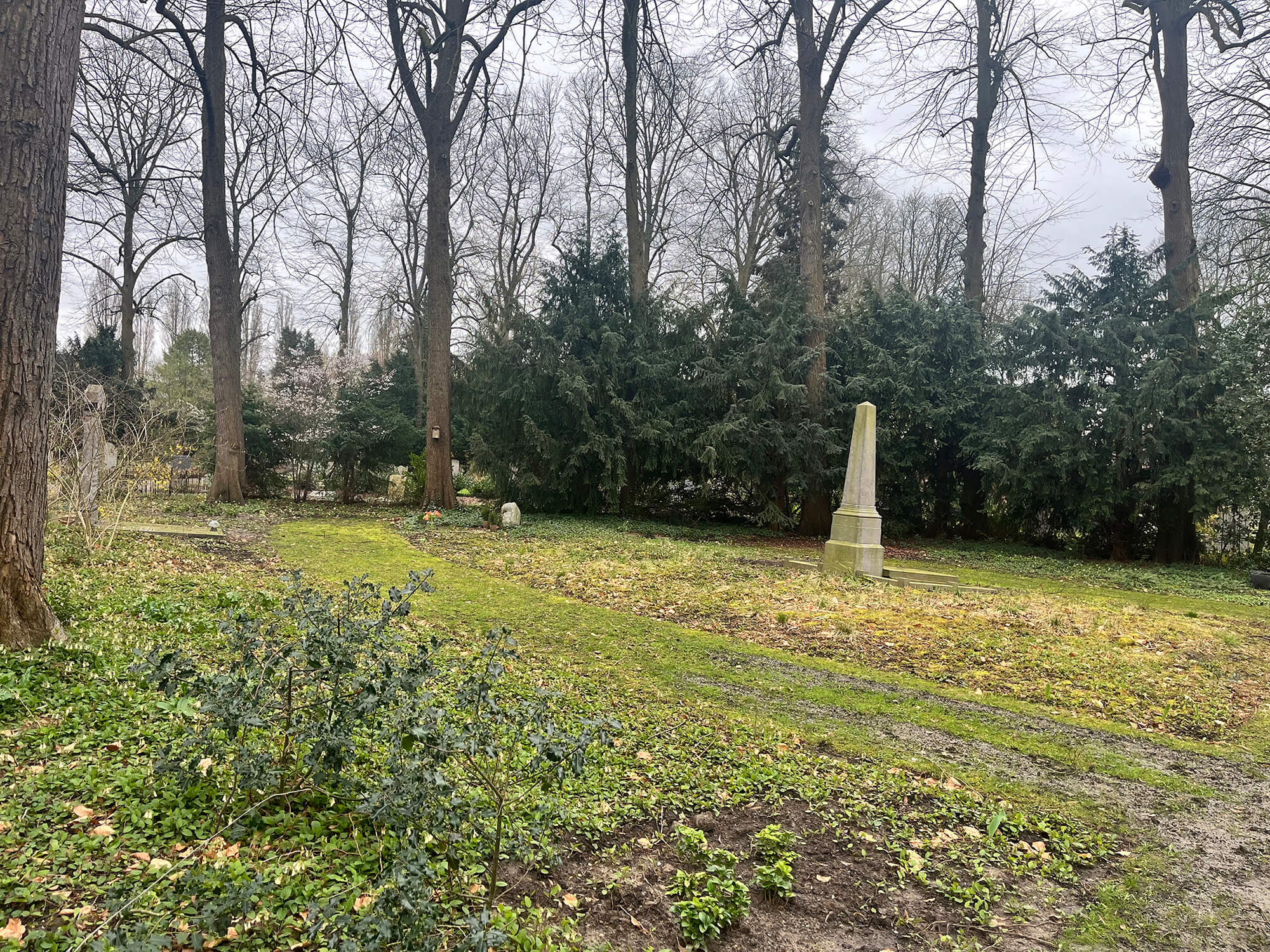 Foto van veld natuurgraf in de stad 1