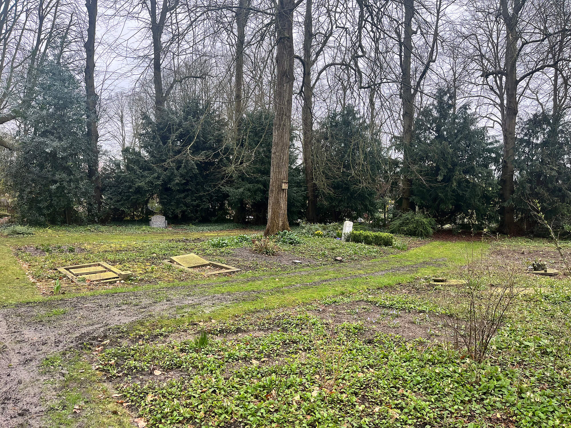 Foto van veld natuurgraf in de stad 2